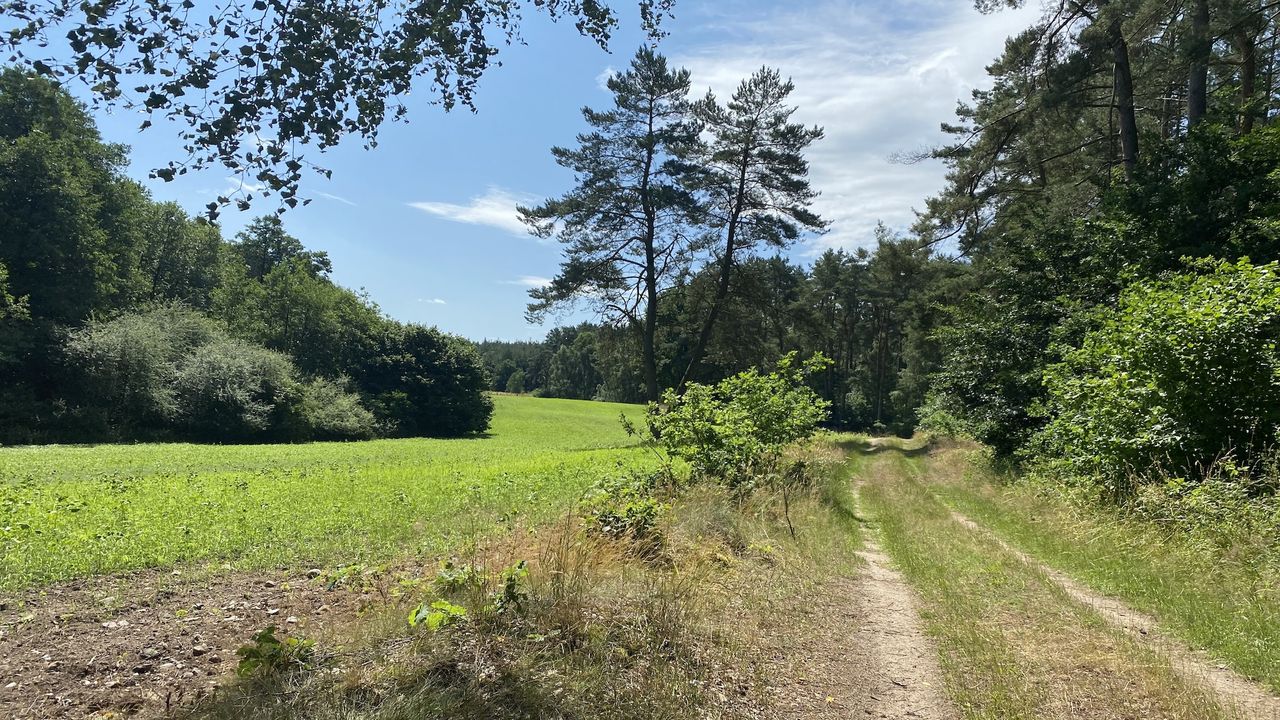 AreaSummer1KM AreaSummer1KM